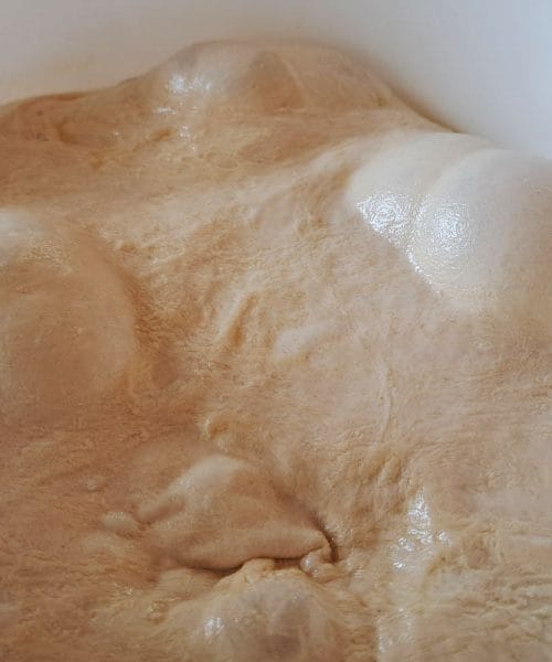 Vzhajanje testa za kruh – ena napaka lahko uniči ves trud