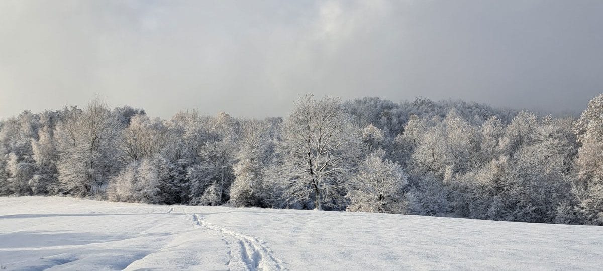 Prvi zimski dnevi