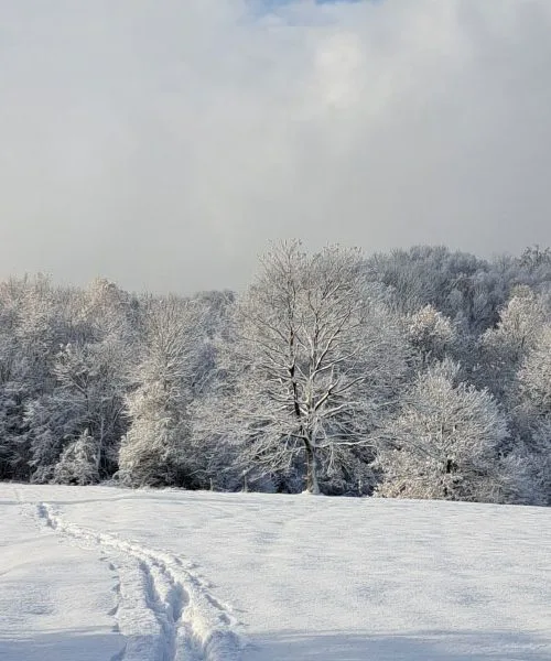 Prvi res pravi zimski dnevi v januarju vplivajo bolj, kot si mislimo