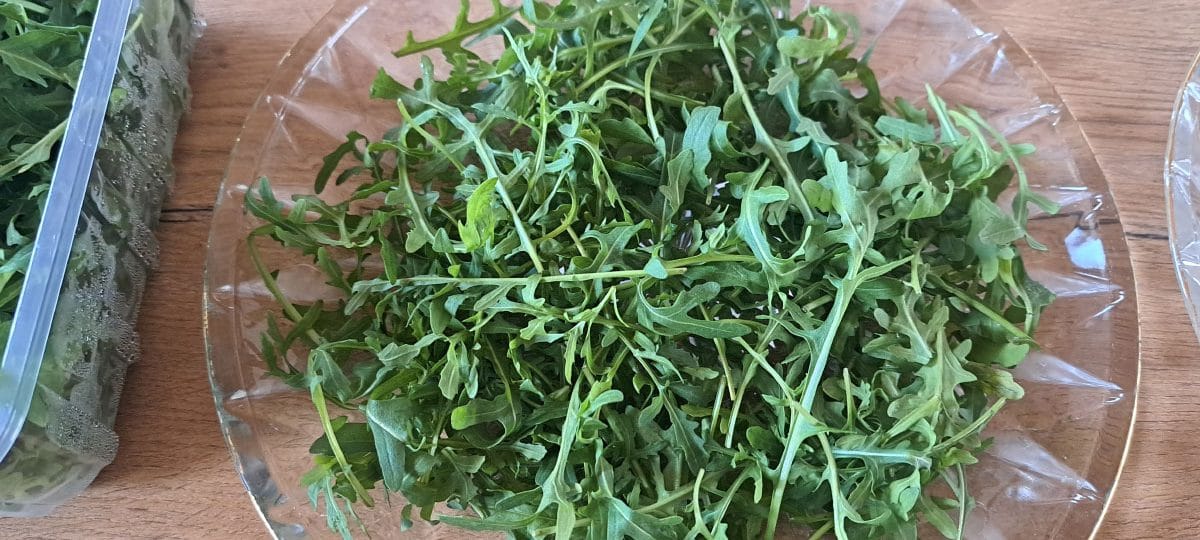 Rukola