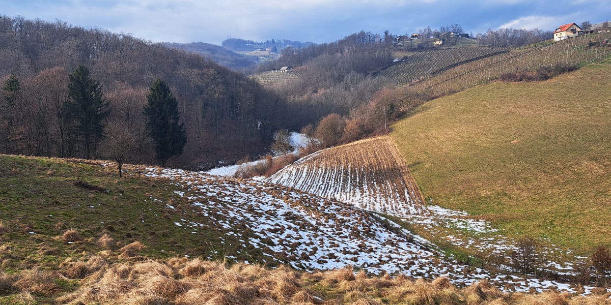 Sončni vitamin, zima