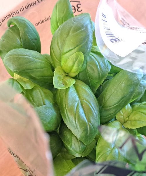 Sveža zelišča na okenski polici: Kako jih ohraniti pri življenju sredi zime?