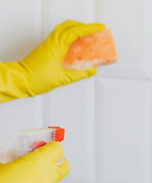 Čudežna moč jabolčnega kisa: 5 situacij, ko je boljši od kateregakoli čistila ali zdravila