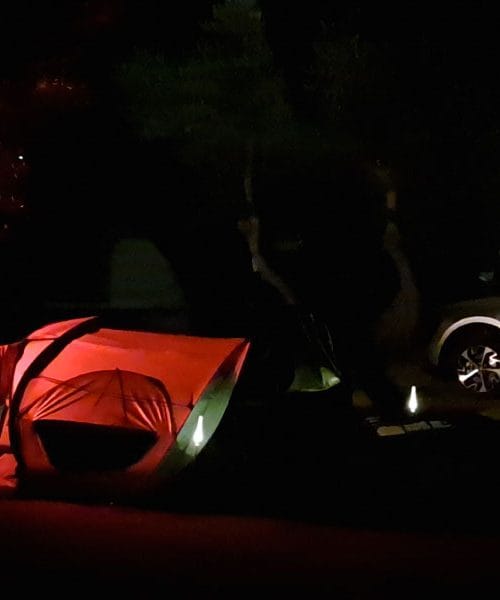 Naravni serotonin brez zaslona: 9 preprostih stvari, ki izboljšajo razpoloženje