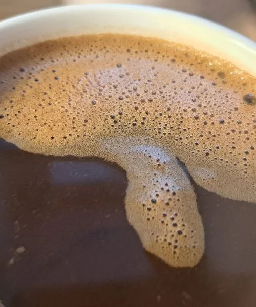 Resnica o kavi: Kdaj je koristna in kdaj postane ovira za vaše zdravje?