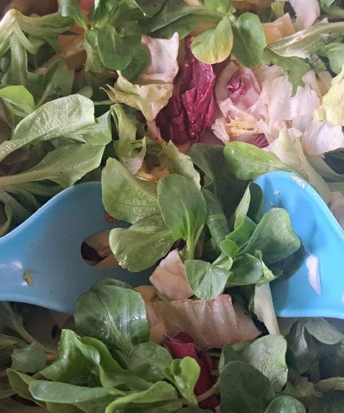 Solata z motovilcem: kdaj, kako in zakaj jo vključiti v jedilnik