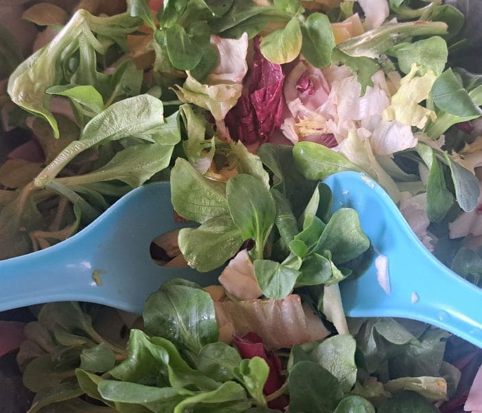 Solata z motovilcem: kdaj, kako in zakaj jo vključiti v jedilnik