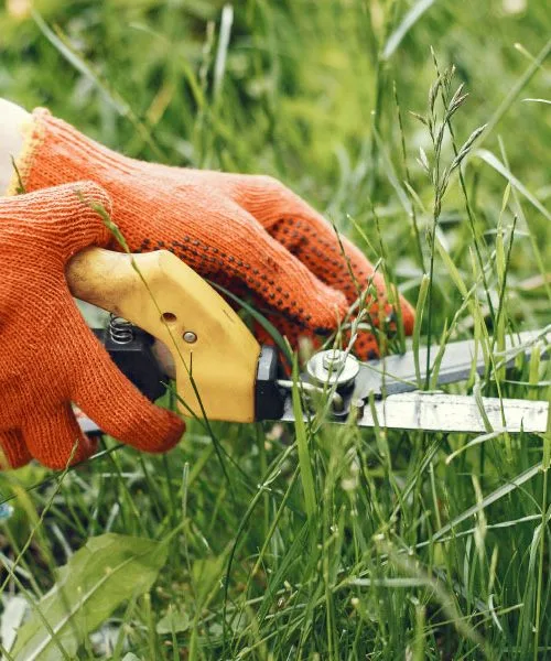 Te tri spremembe na trati marca pomenijo več, kot si mislimo