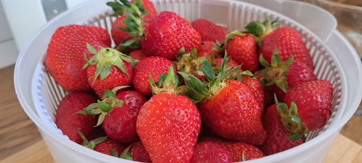 Jagode