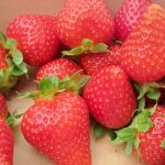 To sadje je maja med najbolj iskanimi – nutricionisti opozarjajo na pogosto napako